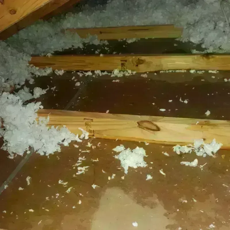 Attic Water Damage in Longboat Key, FL